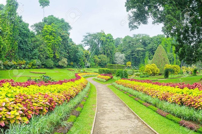 Private Kandy Day Tour From Colombo