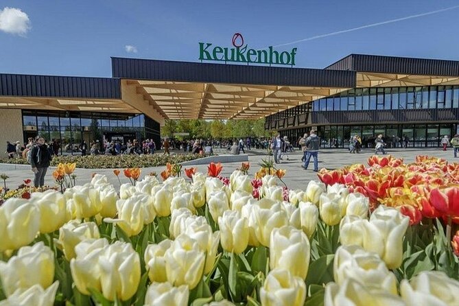 Private Keukenhof Tulip Fields & Flowers Sightseeing Tour From Rotterdam