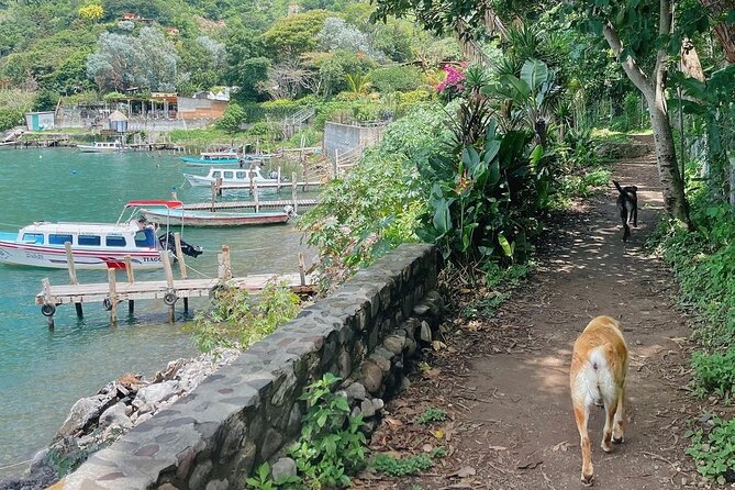 Private Lake Atitlan Tour in Town of Santa Cruz, Jaibalito, Tzununa and San Juan - Overview of the Private Lake Atitlan Tour