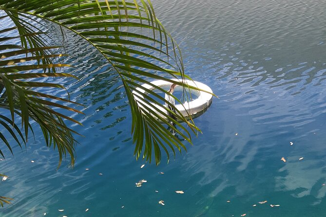 Private Magic City Tour With Transfers - Tour Overview