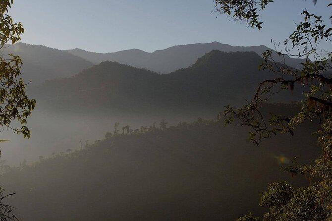 PRIVATE Mindo Cloud Forest Tour