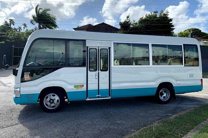 Private Montego Bay Airport Transfer to Ocho Rios Hotels - Key Service Features