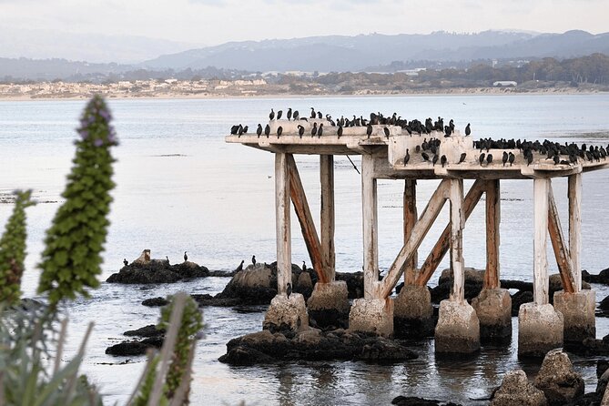 Private Monterey, Carmel and 17-Mile Drive Day Trip From San Francisco - Luxury Coach Transport