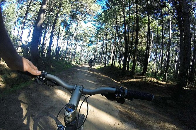 Private Mountain Biking Adventure in Sintra Cascais Park