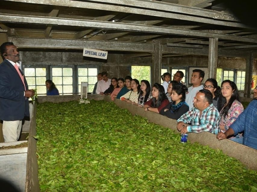Private Munnar Day Tour: Trekking & Scenic Highlights - Tour Overview
