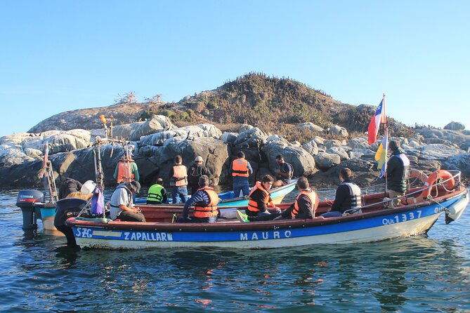 Private Nautical Tour Penguin Island, Cachagua, Valparaíso - Experience Details