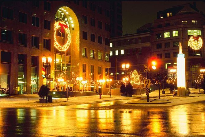 Private New York Christmas Tour With Driver and Guide