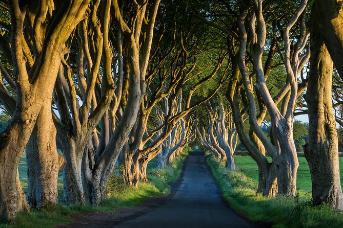 Private Northern Ireland Day Tour From Dublin