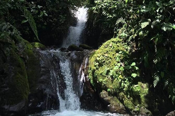 Private Personalized Mindo All-inclusive Tour