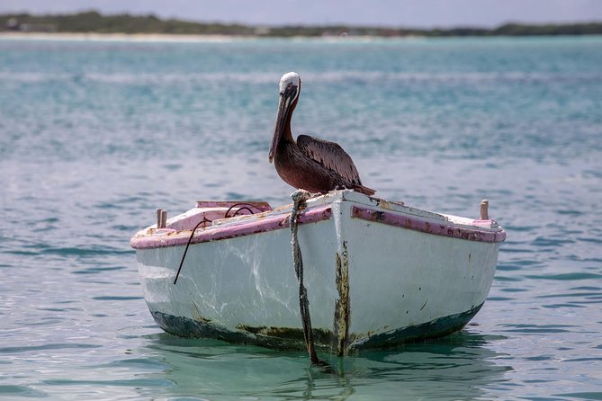 Private Photography Tour
