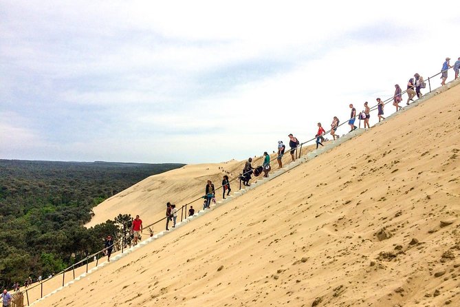 Private : Pilat Sand Dune and Arcachon + Oyster Tasting