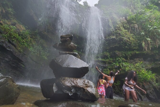 Private Rainforest Waterfalls and Beach Hiking Tour From San Juan - Inclusions