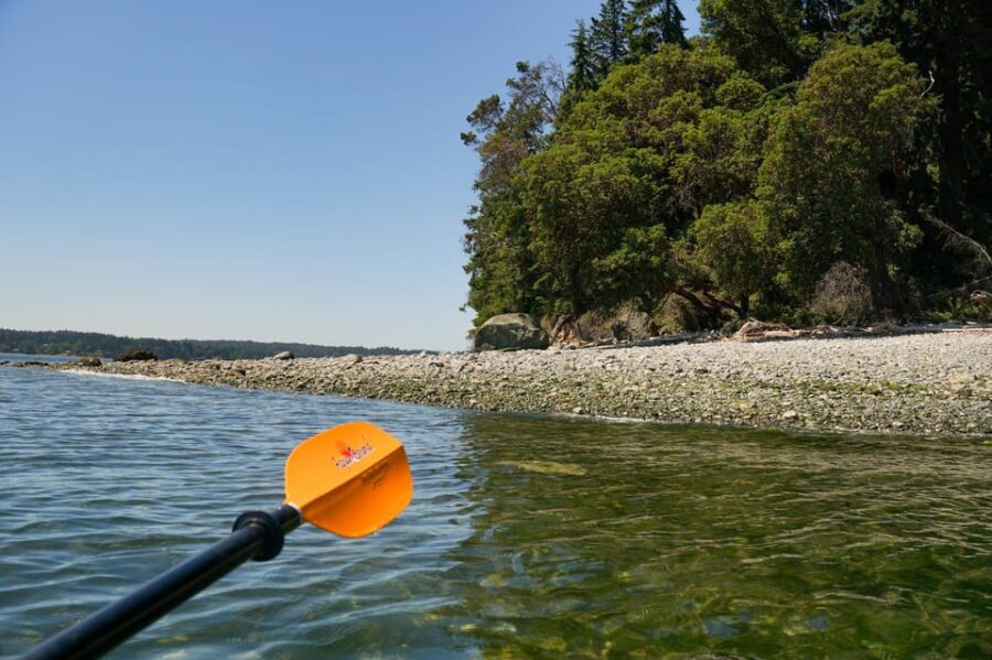 Private Sea Kayak Tour to Blake Island State Park - Tour Overview