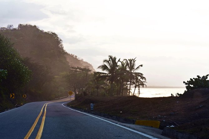 Private Shuttle Service From Santa Marta Airport to Palomino