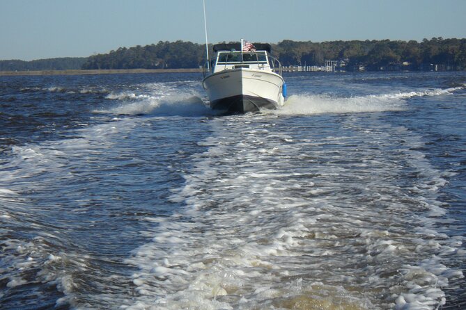 Private Sightseeing Boat Tour in Savannah - Tour Overview