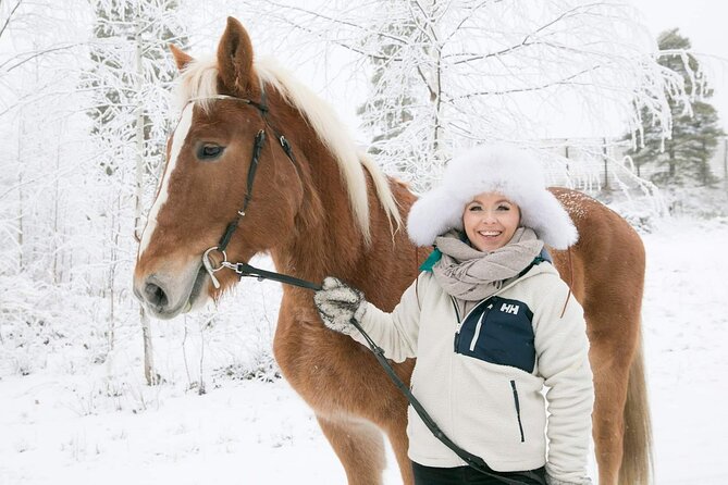 Private Sleigh Ride With Finnhorse