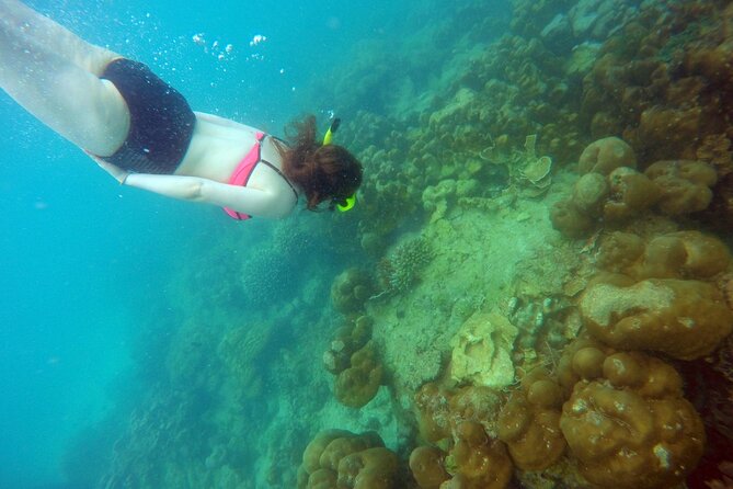 Private Speedboat Maiton, Racha, and Coral Islands Tour From Phuket