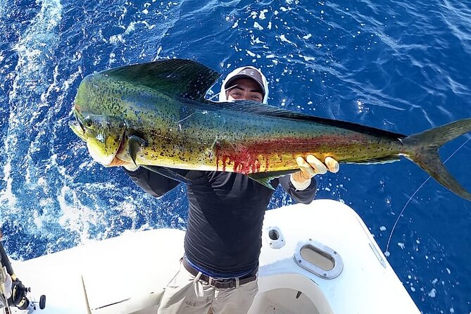 Private Sport Fishing Tours at Dreams Las Mareas