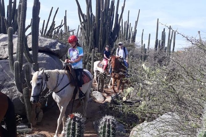 Private Sunset Horseback Ride - Overview of the Experience