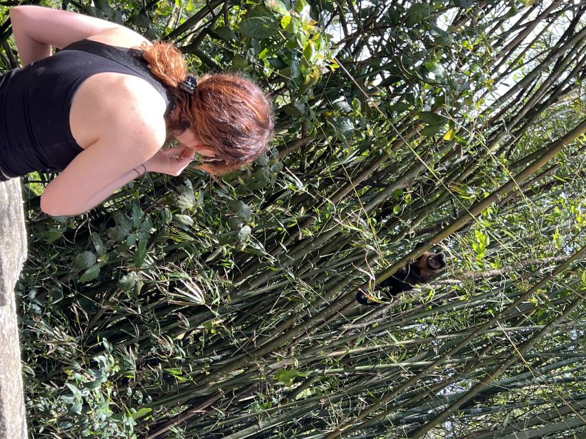 Private Tijuca Forest & Botanical Garden Guided Tour