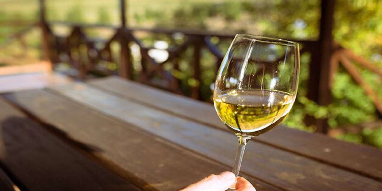 Private Top Award-Winning Cape Wine Tasting Full Day Tour