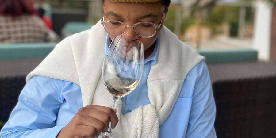 Private Tour: Franschhoek, Paarl & Stellenbosch Wine Tour