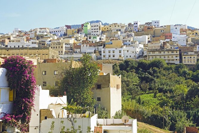 Private Tour From Fez to Volubilis, Moulay Idríss & Meknes