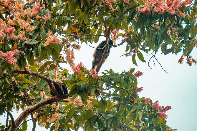 Private Tour From Guayaquil to Churute Ecological Reserve