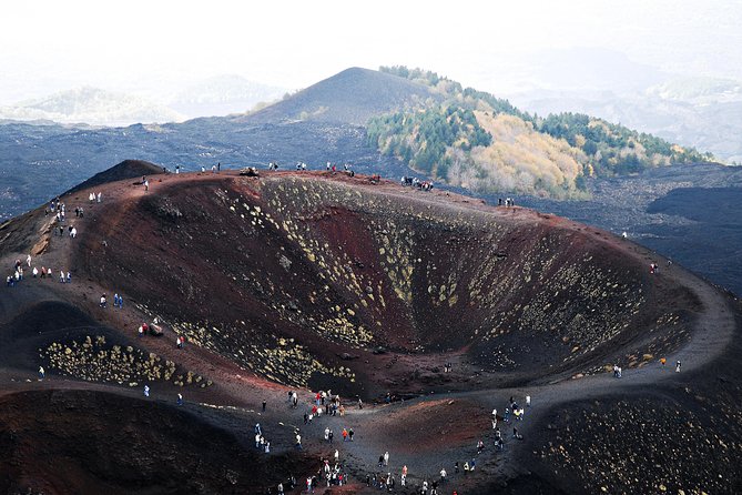Private Tour From Messina Cruise Terminal to Etna + Etna Winery