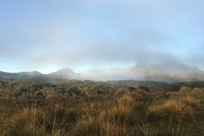 Private Tour in Horton Plains National Park & Worlds End Tour With Pick up