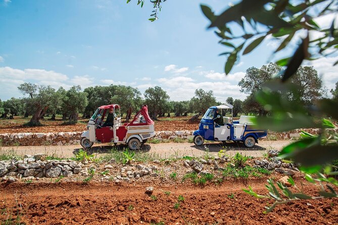 Private Tour in the Itria Valley - Tour Highlights and Inclusions