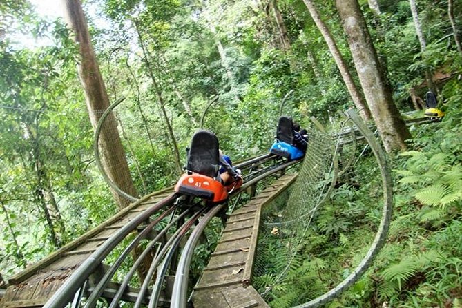 Private Tour Nha Trang – Dalat Excursion (Starting at Nha Trang)
