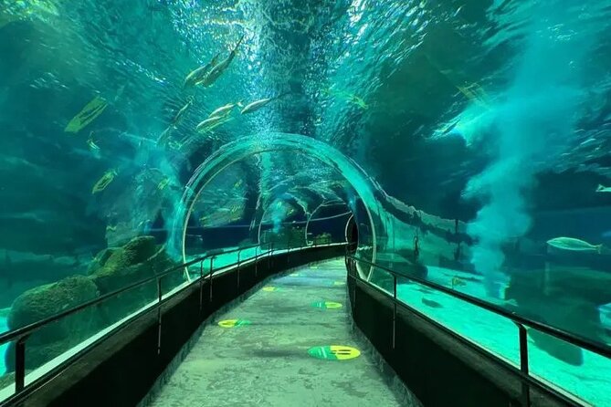 Private Tour – Olympic Boulevard + Aquarium