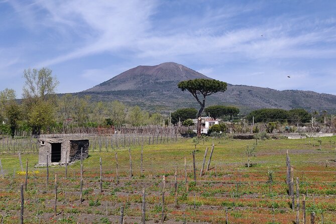 Private Tour Pompeii and Herculaneum