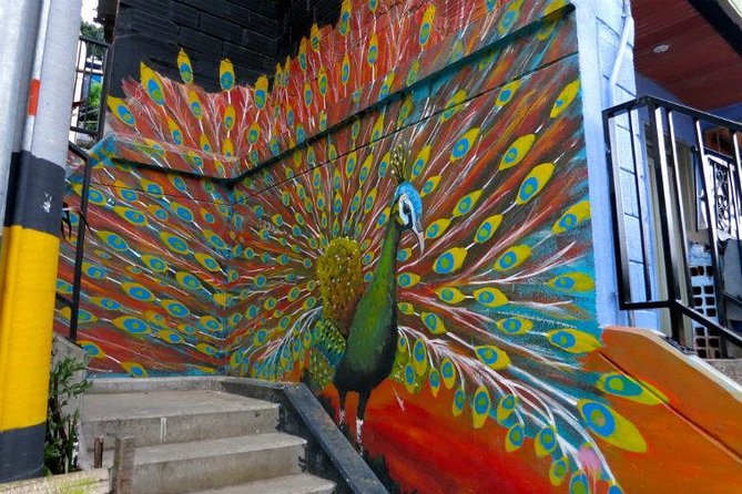 Private Tour: Street Art in Medellín - Urban Art & Cultural Identity - Tour Overview and Experience