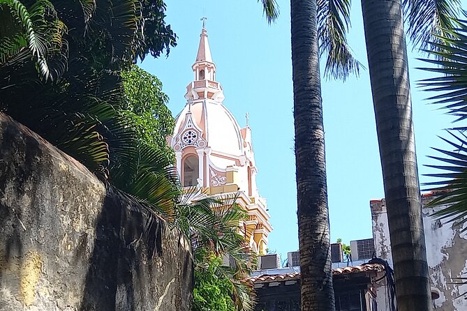 Private Tour & the Best Coffee of the World in Cartagena (Also for Cruisers)