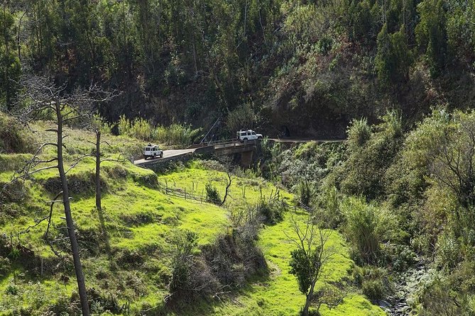 Private Tour: The Best of the South - Jeep Safari Tour - Full Day - Tour Overview