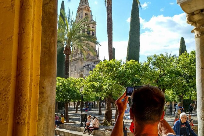 Private Tour to Córdoba From Seville (Several Options)