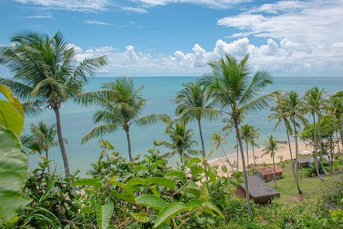 Private Tour to Praia Do Satu and Caraíva