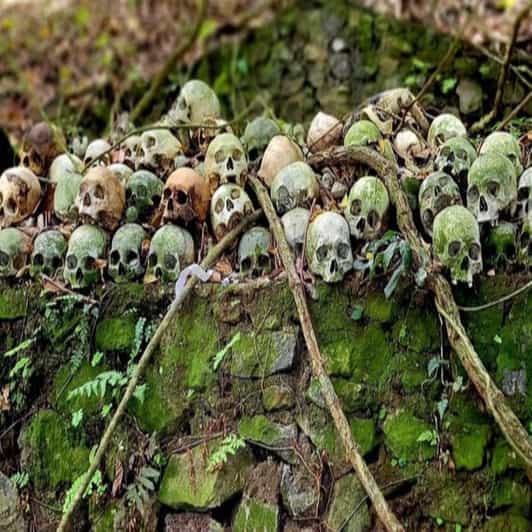 Private Tour Trunyan Village Skulls Island in Bali - Tour Overview