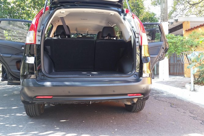 Private Transfer From Campinas Airport to São Paulo City
