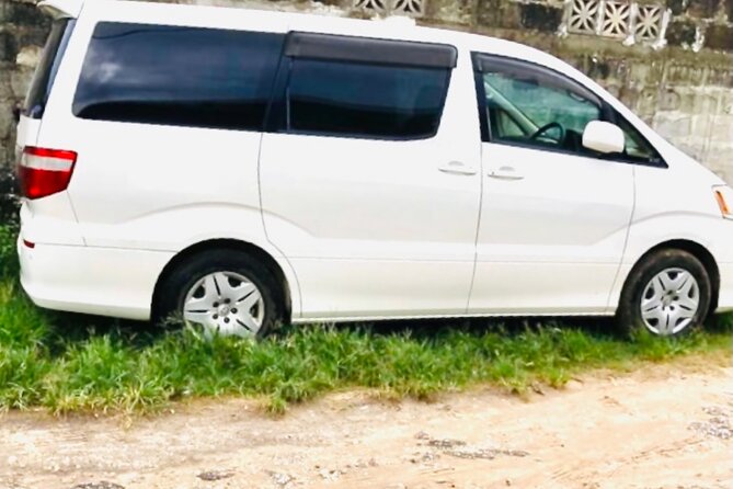 Private Transfer From Karume International Airport to Paje - Overview of the Service