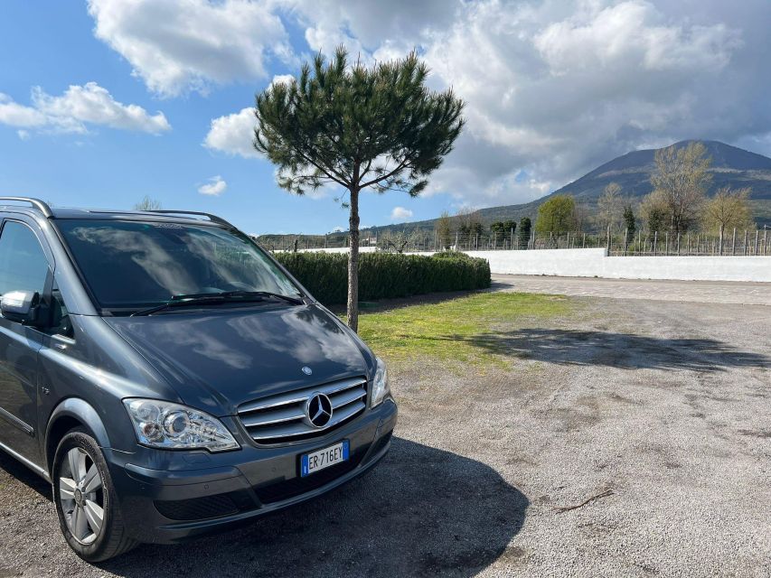 Private Transfer From Pompeii to Naples