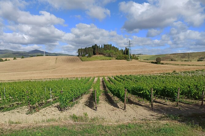 PRIVATE TRANSFER From Siena to Florence With Stop in S Gimignano & Monteriggioni