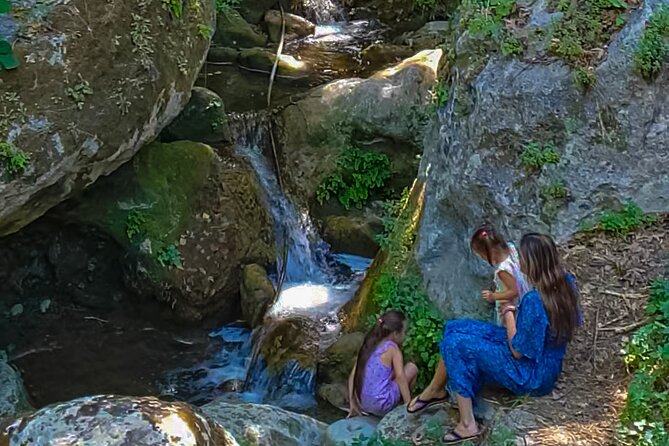 Private Trip Through the Heart of Crete, Picnic & Wine Tasting - Picnic Lunch Details