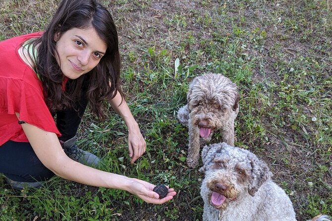 Private Truffle Hunting With Tasting : Become a Truffle Hunter Foa a Day!