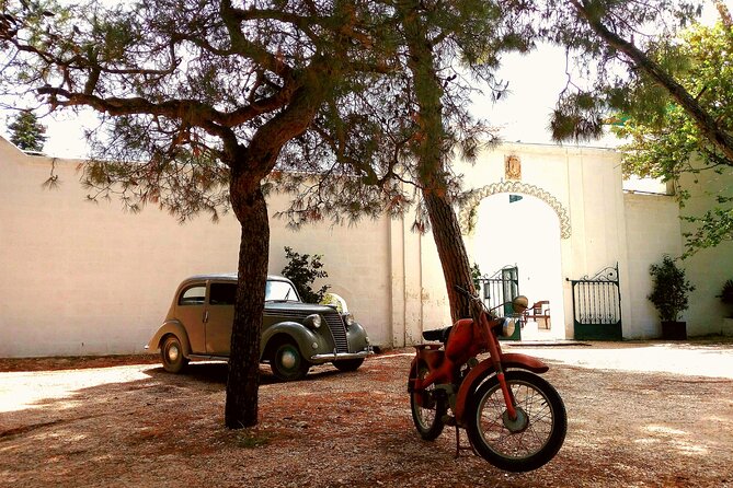 Private Tuk Tuk Tour of the Millenary Olive Groves in Ostuni - Tour Overview