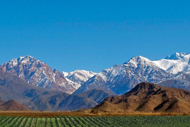Private Uco Valley Tour Including Lunch and Wine Tasting From Mendoza