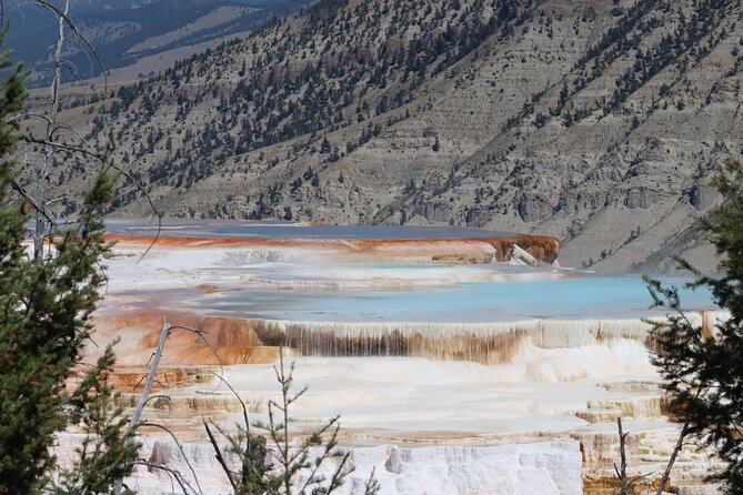 Private Upper Loop Grand Teton, Lower Loop Scenic & Wildlife 3 Day Tours