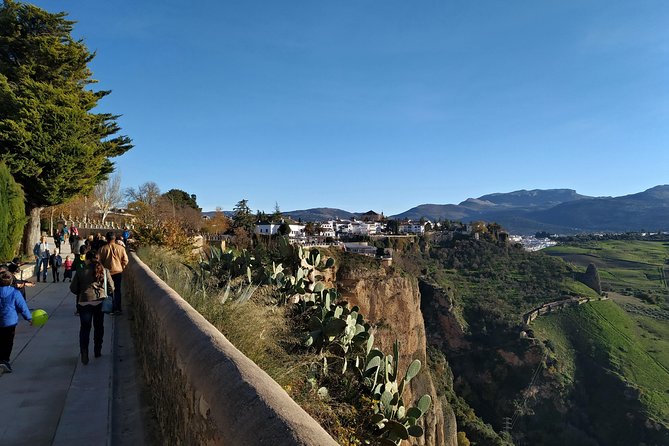 Private Visit to Ronda 2 Hours - Accessibility Information